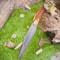 Custom D2 Steel Bowie Hunting Knife Stag Antler Handle Outdoor Collector Gift 5