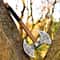 Hand Forged Double Bit Viking Axe Carbon Steel Blade Leather Sheath Collector Gift 3