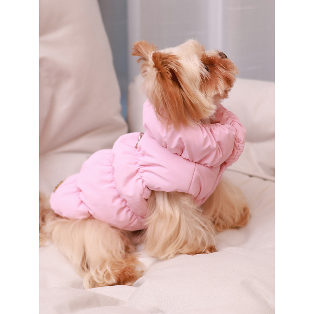 Thick Warm Dog Jacket For Autumn Winter Cozy Pet Coat For Small To Medium Dogs Poodle Teddy York Ou 0