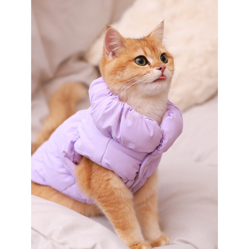 Thick Warm Dog Jacket For Autumn Winter Cozy Pet Coat For Small To Medium Dogs Poodle Teddy York Ou 10