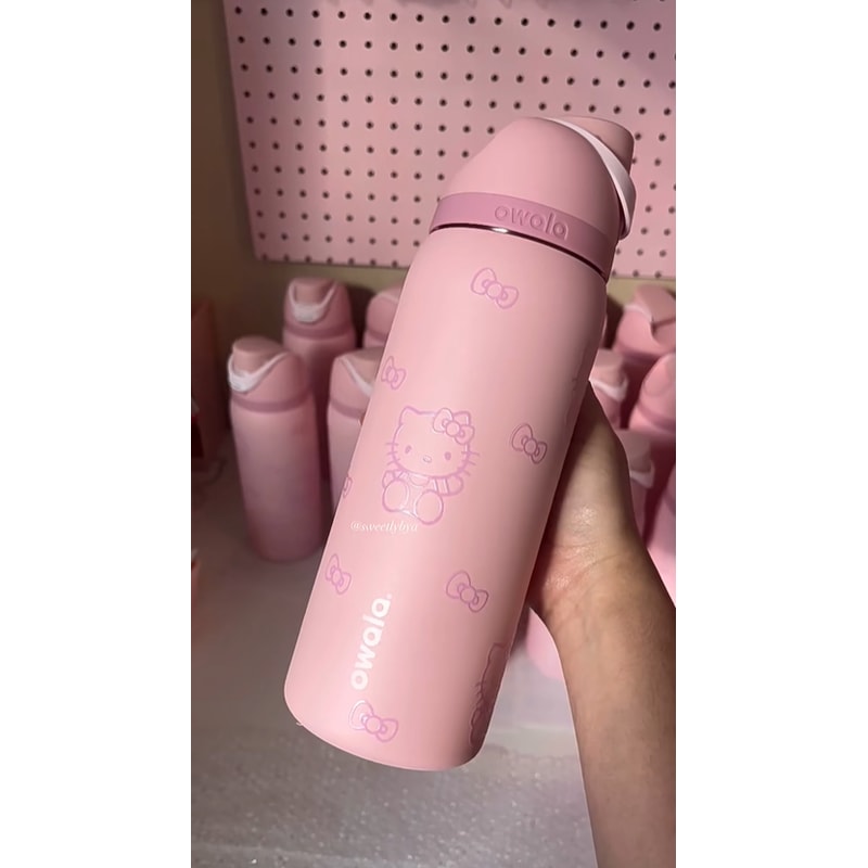 Insulated Stainless Steel Water Bottle Sports Water Bottle Great For Travel 22