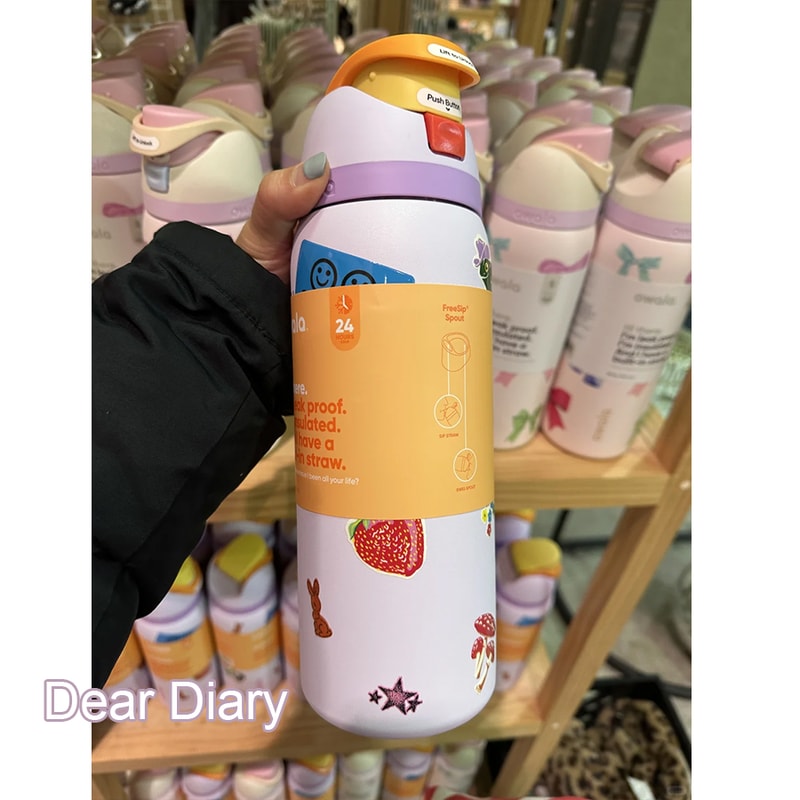 Insulated Stainless Steel Water Bottle Sports Water Bottle Great For Travel 24