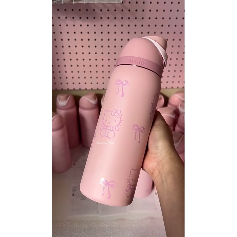 Insulated Stainless Steel Water Bottle Sports Water Bottle Great For Travel 25