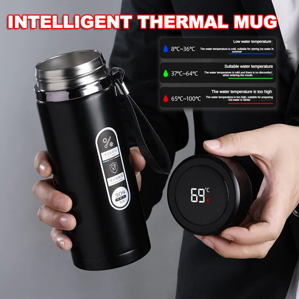 Stainless Steel Thermos Bottle LED Temperature Display Vacuum Flask Portable Cups 0