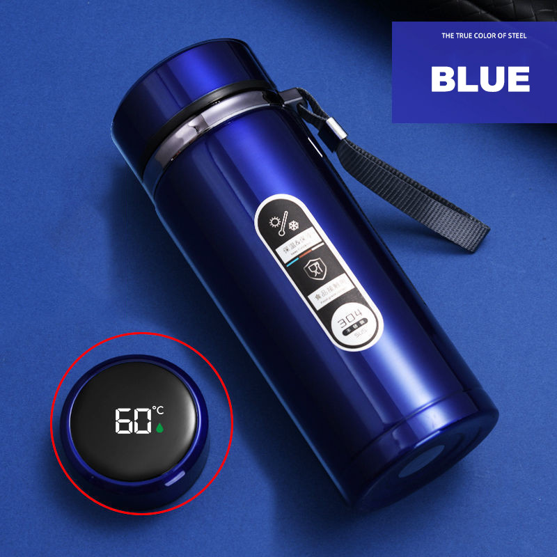 Stainless Steel Thermos Bottle LED Temperature Display Vacuum Flask Portable Cups 10