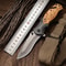 Folding Knife, High Hardness Outdoor Pocket Knife, Multifunctional Fruit Knife, Portable Camping Tool, Self Defense Fold