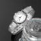 Women Fashion Watch Ladies Casual Bracelet Watches Simple Dial Quartz Wrist Dress Clock 0