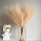 Artificial Pompous Grass Pompass Branches Fake Fluffy Stems Plants Vase Filler Home Decor Flower Ar 0