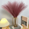 Artificial Pompous Grass Pompass Branches Fake Fluffy Stems Plants Vase Filler Home Decor Flower Ar 3