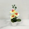 Artificial Orchid Living Room Decoration Home Office Display Entrance Flower Faderesistant 6
