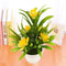 Artificial Flowers Fake Plastic Plant Home Office Decor Desktop Bonsai Wedding Balcony Ornaments Gi 1