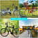 Acrylic Convex Oval Bike Mirrors 360 Rotatable Handle Bar Mount Shock Proof Rear View For Cycling 4