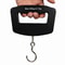 Portable Digital Scale, LCD Display Back Light, Fish Weight Hanging Scales, Suitcase Travel Weighing Scale