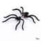 Halloween Party DIY Decoration Horror Black Spider Earrings Jewellery Piercing Clothing Decoration 3