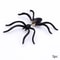 Halloween Party DIY Decoration Horror Black Spider Earrings Jewellery Piercing Clothing Decoration 3