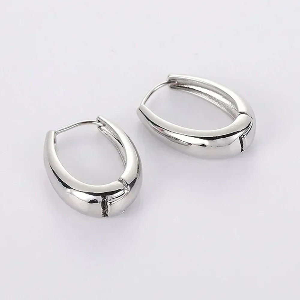 Fashion Metal Drop Earrings For Women Vintage Hoop Earring Trend Classic Party Wedding Pendant Jewe 6