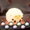 USB Rechargeable Cartoon Animal Touch Lamp Cute Silicone Unicorn Sheep Hamster RGB LED Night Light 4