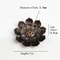 Alloy Incense Burner Stick Holder Plate Buddhism Lotus Censer Bronze Nasturtium Incense Burner For 4