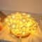 Battery Box Powered LED Egg Flower String Light for Room, Wedding, Valentine's Day, Indoor Festival Party, Bedroom Decor