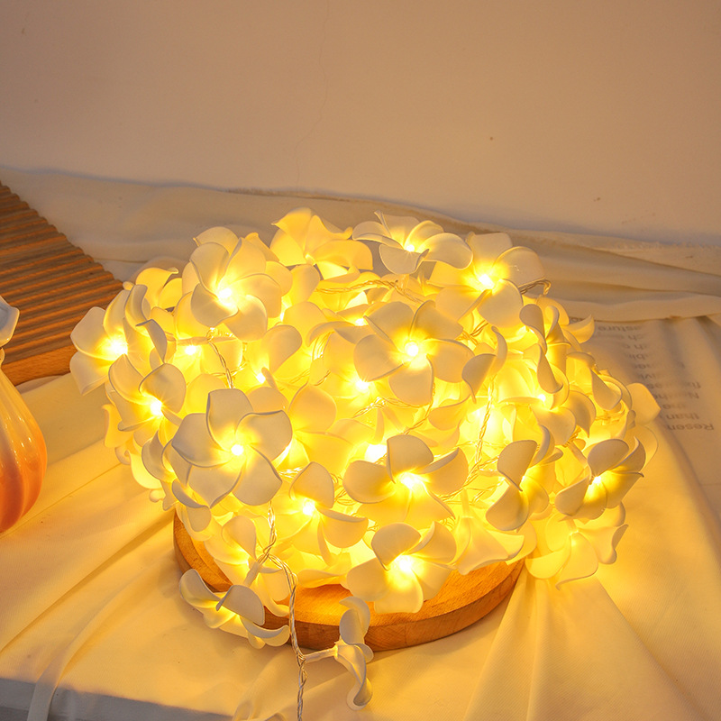 Battery Box Powered LED Egg Flower String Light for Room, Wedding, Valentine's Day, Indoor Festival Party, Bedroom Decor