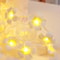 Battery Box Powered LED Egg Flower String Light for Room, Wedding, Valentine's Day, Indoor Festival Party, Bedroom Decor