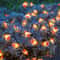 Solar Powered Honey Bee LED String Fairy Lights Waterproof Outdoor Garden Lawn Courtyard Landscape 3
