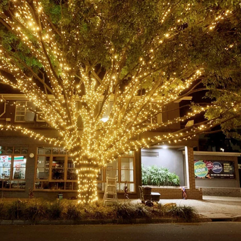 Solar String Fairy Lights Waterproof LED Outdoor Garland Solar Power Lamp For Garden Christmas Deco 5