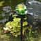 Garden Light Solar Powered Frog Resin Lamp Waterproof Outdoor Pathway Decor Garden Lawn Landscape P 2