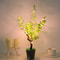 USB Plug Powered Simulated Plant LED Night Light Green Ivy Office Decor Indoor Landscape For Living 2
