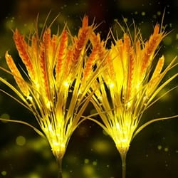 solar powered autumn harvest wheat light, waterproof outdoor garden lighting, perfect for path, patio, and thanksgiving