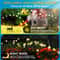 LED Solar Garden Lights Powered Firefly Lights Outdoor Garden Decoration Landscape Lights Firework 2