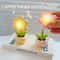 Battery Powered Mini LED Floral Potted Night Light Desktop Lamp For Bedroom Kids Room Children Gift 2
