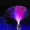 Holiday Atmosphere Lights LED Fiber Optic Lights Lanterns Starry Sky Wedding Party Christmas Decora 0