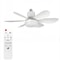 Ceiling Fan Lighting Modern Ceiling Mount Dimmable Light Smart LED Remote Control Adjustable Color 4