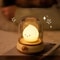 Cute Night Desktop Lamp USB Charged Portable Table Lamp Rechargeable Table Lamp For Bedroom Coffee 2