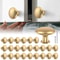 Gold Drawer Knob Set Rustproof Zinc Alloy Cabinet Handles Decorative Dresser Knobs Pull Handle Furn