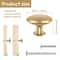 Gold Drawer Knob Set Rustproof Zinc Alloy Cabinet Handles Decorative Dresser Knobs Pull Handle Furn