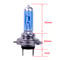 Car Fog Light Halogen Bulbs Super Bright Car Headlight Bulbs LED Bulbs Auto Parking Lamp Xenon Head 5