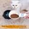 Mini Pet Food Scale Spoon Electronic Measuring Cup Dog Cat Feeding Bowl Portable Volume Weighing Me 2