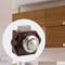 Push Lock For RV Caravan Boat Drawer Latch Furniture Hardware Button Locks Security Accessories Set 1
