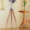 Adjustable Spotlight Floor Lamp 8
