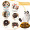 Magic Cat Scratcher Ball Toy  Durable Fun And SpaceSaving Cat Climbing  Claw Care Board 2