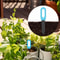 Smart Zigbee Soil Moisture And Temperature Sensor With App Monitoring 5