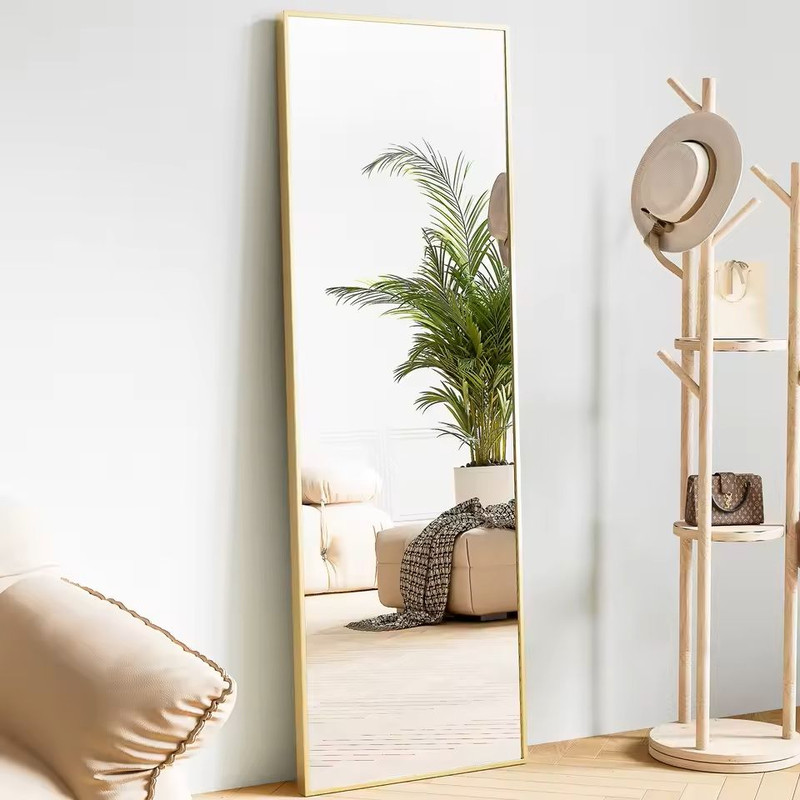 Modern Full Body Mirror With Stand Or Wall Mount 64x21 Inch Aluminum Frame 7