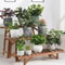 3Tier Wooden Ladder Plant Stand Indoor Outdoor Freestanding Shelf For Pots And Decor 3