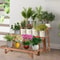 3Tier Wooden Ladder Plant Stand Indoor Outdoor Freestanding Shelf For Pots And Decor 4