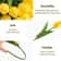 Real Touch Artificial Tulip Bouquet For Home And Wedding Decor 10 Stems 5