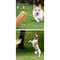 Wooden Dog Chew Stick Toy For Dental Relief And Play 2