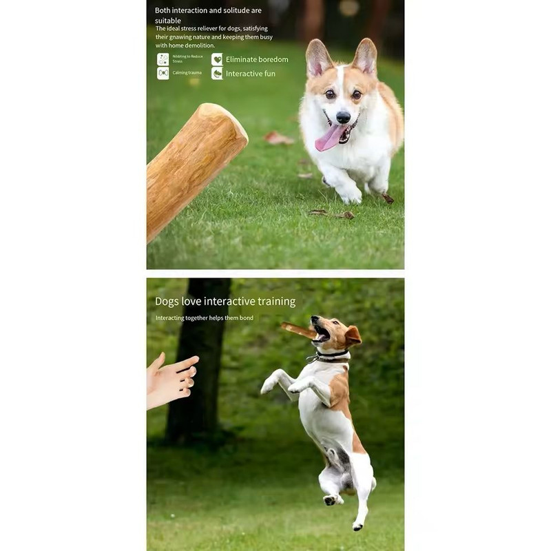 Wooden Dog Chew Stick Toy For Dental Relief And Play 2