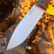 Fixed Blade Outdoor Knife With Micarta Grip And D2 Steel Blade 4